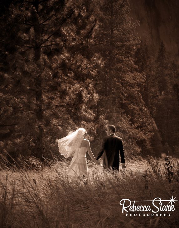 couple in Yosemite wedding