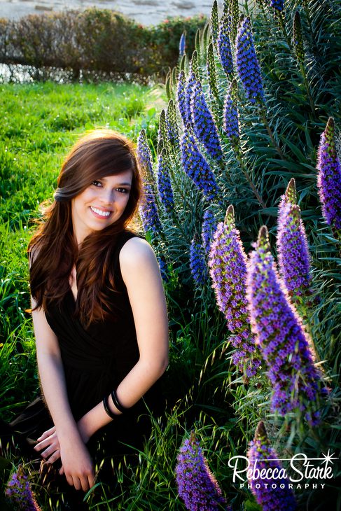 santa cruz ca photographer