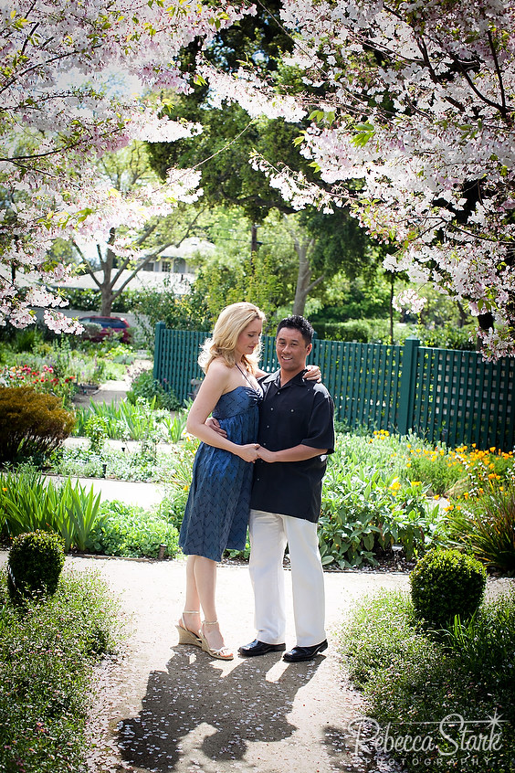 Palo Alto garden