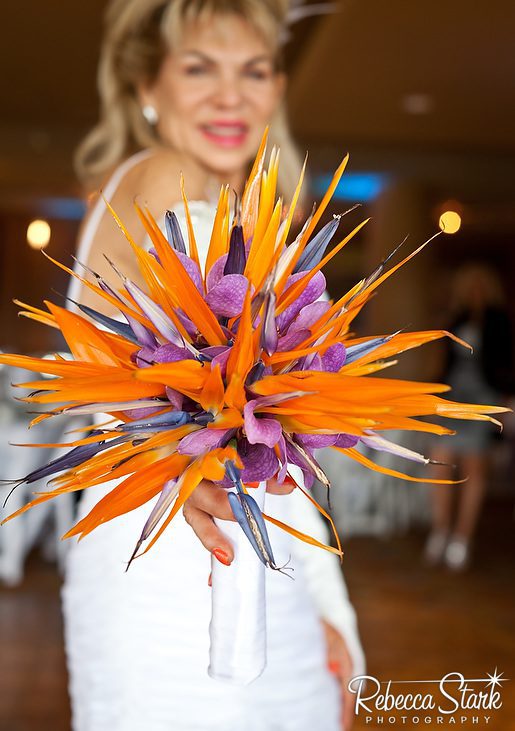 Rebecca_Stark_a0011-211x300