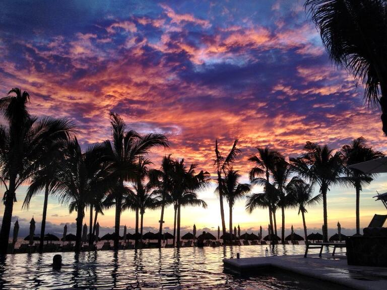 palm trees in Mexico