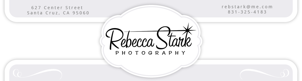 Rebecca Stark Photography | Wedding & Portrait Photographer Bay Area ...